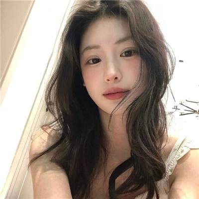 完美伴侣2025